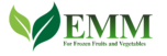 emmegy.com